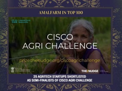 Agritech thumbnail – representing Amalfarm’s integration of agriculture with technology to ensure traceability, quality, and farmer empowerment
