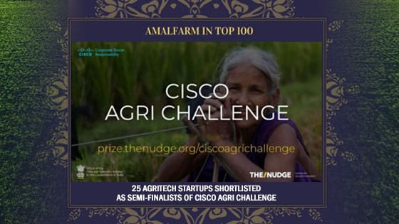 Agritech thumbnail – representing Amalfarm’s integration of agriculture with technology to ensure traceability, quality, and farmer empowerment