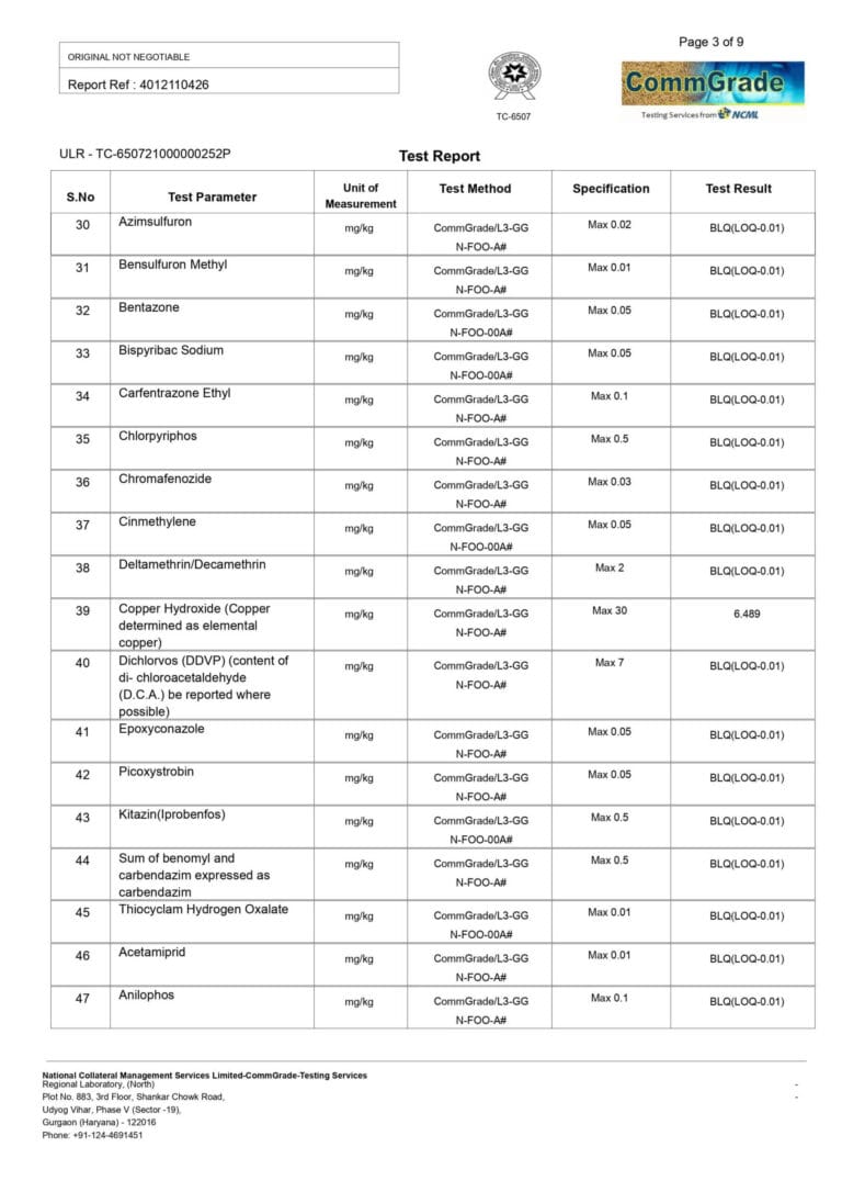 Scaled Report 2