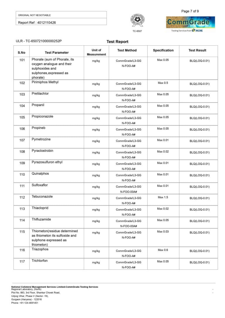 Scaled Report 6