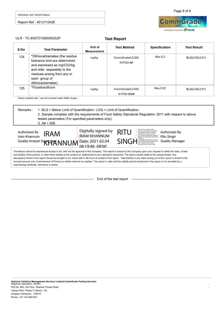 Scaled Report 8