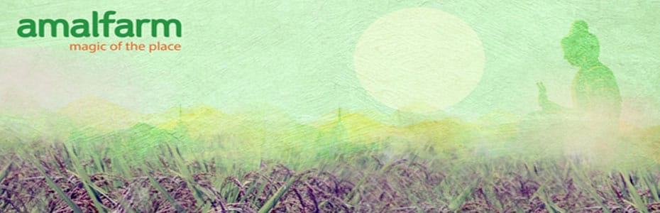 Kalanamak Rice banner