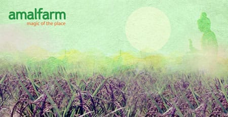 Kalanamak Rice banner – featuring premium GI-tagged aromatic rice with historical significance and natural health benefits by Amalfarm