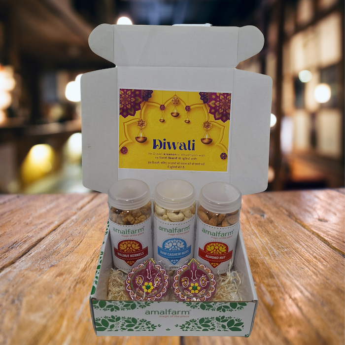 Festival (Diwali) Gift Pack (Dry Fruits + Diya) 400gm