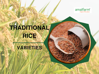 Amalfarm showcasing traditional GI-tagged rice varieties from India