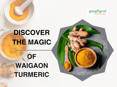 Amalfarm showcasing the magic of Waigaon Turmeric – GI-tagged premium spice