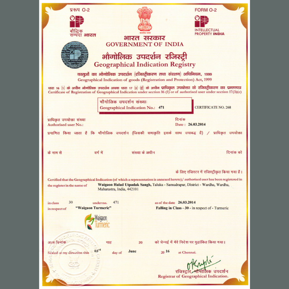 Waigaon Turmeric – GI-tagged aromatic and high-curcumin turmeric from Maharashtra