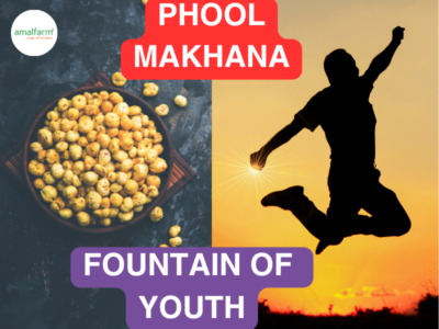 Amalfarm Phool Makhana packed with nutrients for youthful energy and wellness