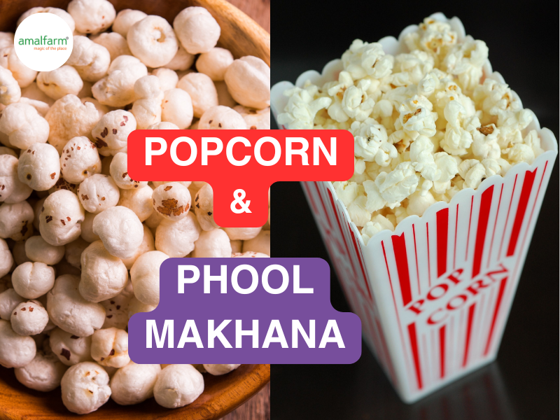 Amalfarm Phool Makhana and popcorn – wholesome snacks for guilt-free munching