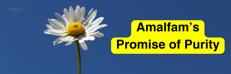 Amalfarm’s Promise of Purity