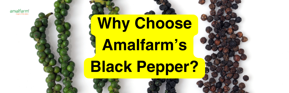 Why Choose our Black Pepper