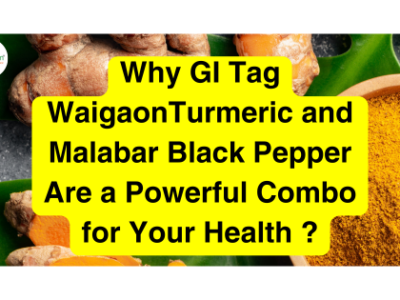 Why GI Tag WaigaonTurmeric and Malabar Black Pepper Are a Powerful Combo for Your Health
