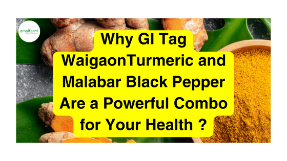 Why GI Tag WaigaonTurmeric and Malabar Black Pepper Are a Powerful Combo for Your Health