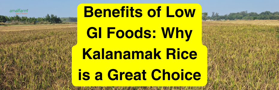 Benefits of Low GI Foods: Why Kalnamak Rice is A Great Choice