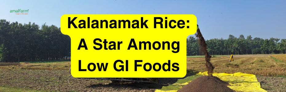 Kalanamak Rice_ A Star Among Low GI Foods