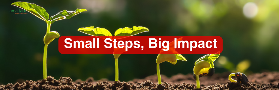 mall Steps, Big Impact