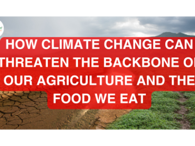 How Climate Change Can Threaten The Backbone of our Agriculture and the Food We Eat
