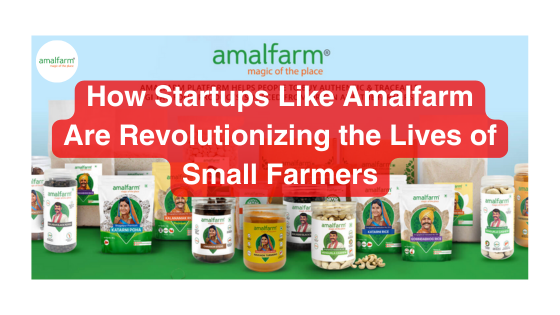 How Startups Like Amalfram Are Revolutionizing the Lives of Small Farmers