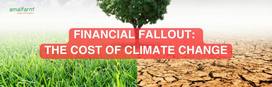 Financial Fallout: The Cost of Climate Change