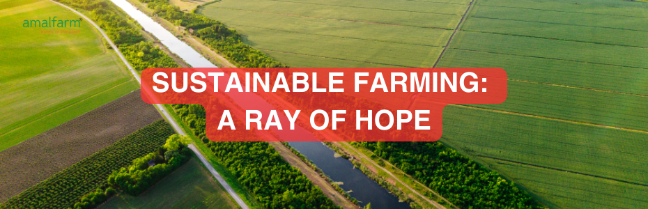 Sustainable Farming: A Ray of Hope