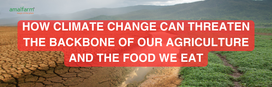 How Climate Change Can Threaten The Backbone of our Agriculture and the Food We Eat