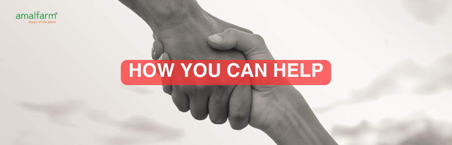 How You Can Help