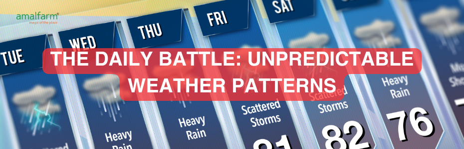 The Daily Battle: Unpredictable Weather Patterns