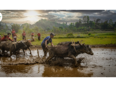 7 Powerful Ways to Support Small Farmers Without Leaving Your City