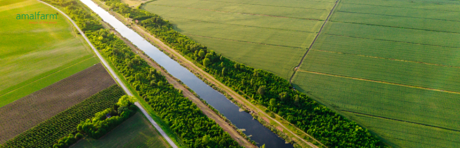 Supporting Farmers Who Practice Sustainability