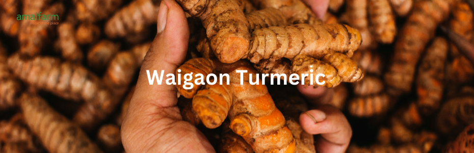 Waigaon Turmeric: Adding Golden Goodness