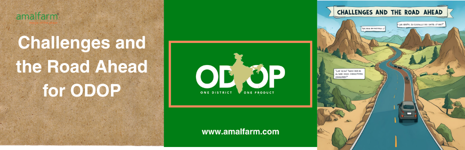 Challenges and the Road Ahead for ODOP