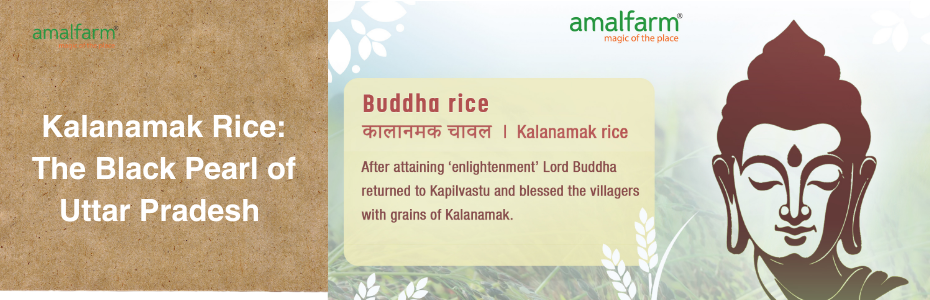 Kalanamak Rice: The Black Pearl of Uttar Pradesh