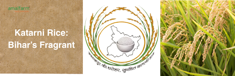 Katarni Rice: Bihar’s Fragrant