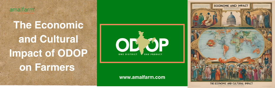 The Economic and Cultural Impact of ODOP on Farmers