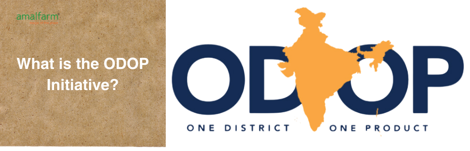 What is the ODOP Initiative?