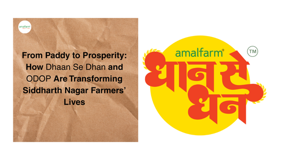 Amalfarm-From-Paddy-to-Prosperity