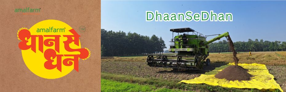 Why Kala Namak Rice Stands Apart