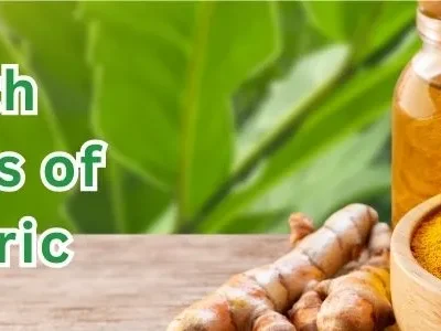Benefits of Turmeric