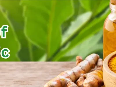 types of turmeric