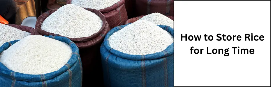 How to Store Rice banner