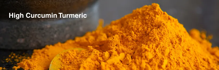 high curcumin turmeric, turmeric powder